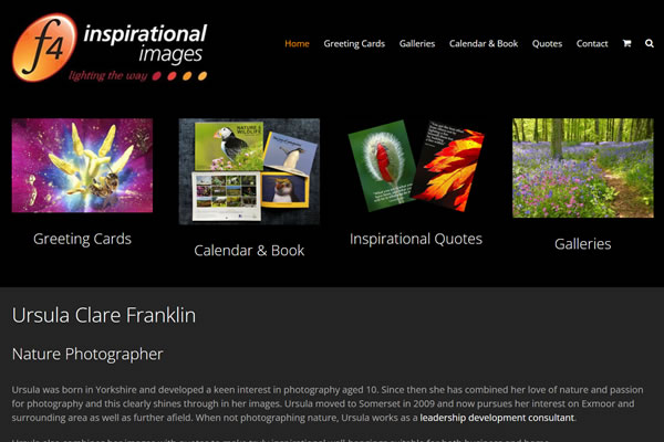 f4 Inspiaration images ecommerce website designers